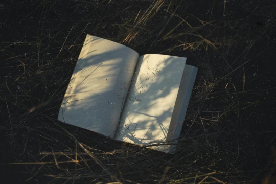 Open book lying on grass