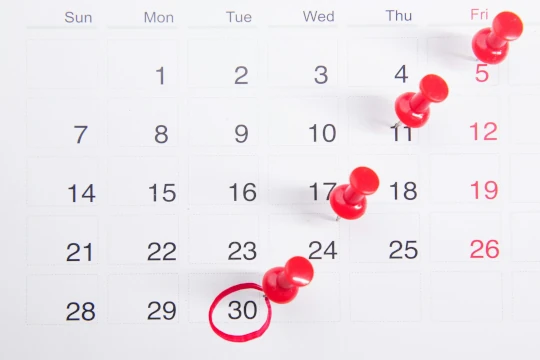 Calendar with highlighted dates representing bookings