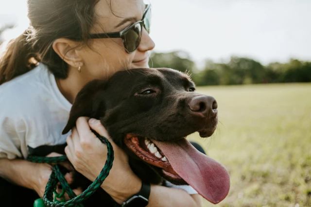 Dog walker cuddling a dog